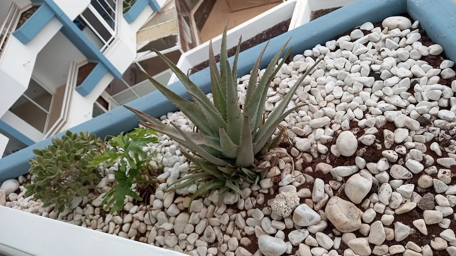 Cousy Holiday Apartment In Sunny Golf Del Sur Сан Мигель